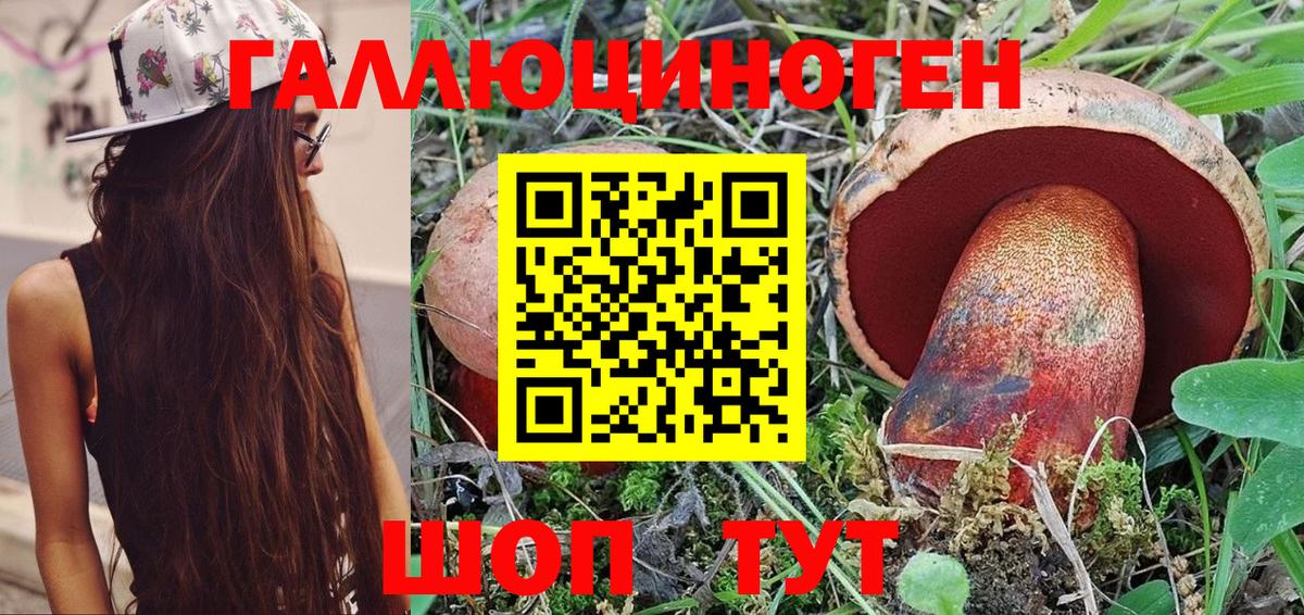 Псилоцибиновые грибы прущие грибы Елизово